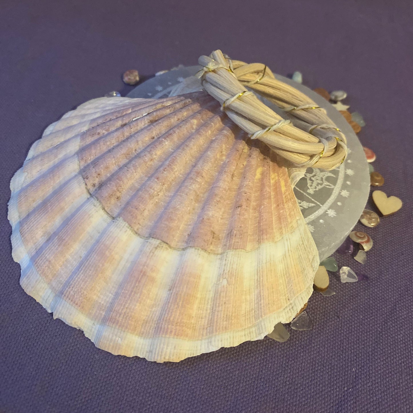 Coquille Saint-Jacques avec son support Rotin ou Bambou