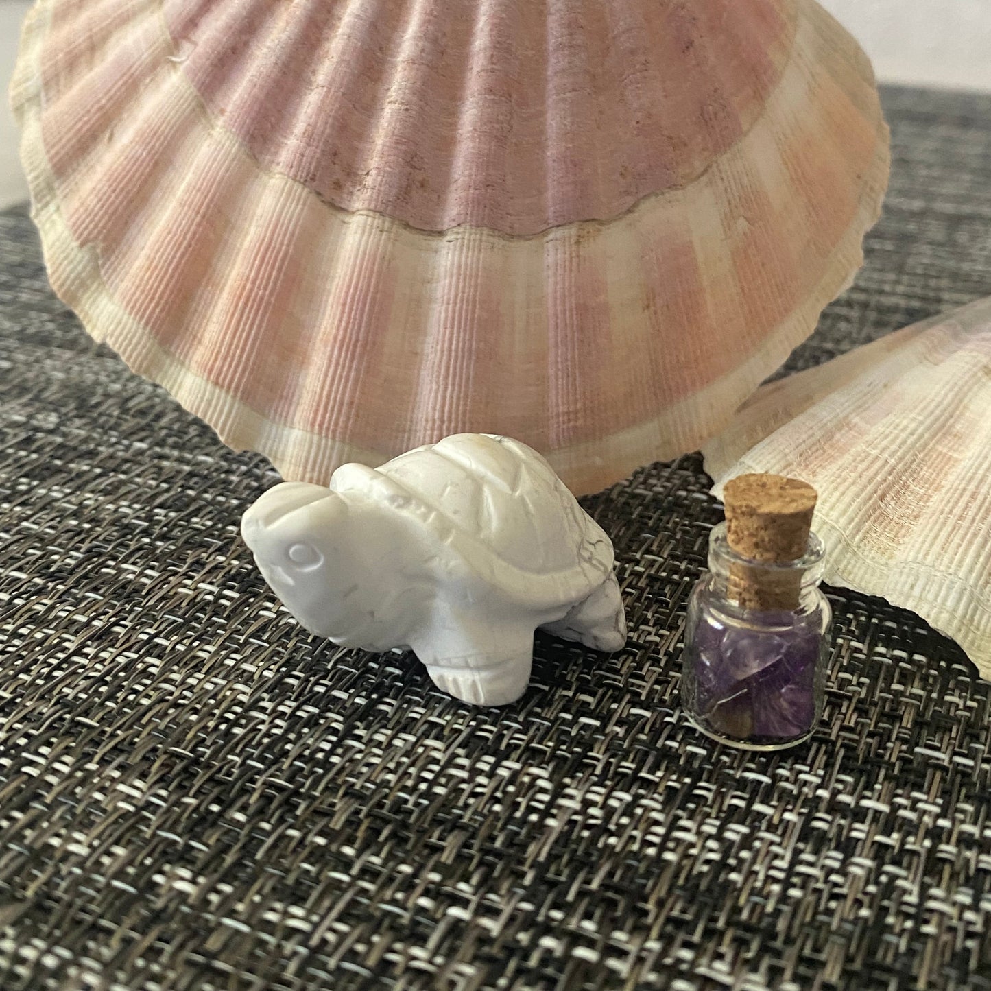 petite tortue en Howlite
