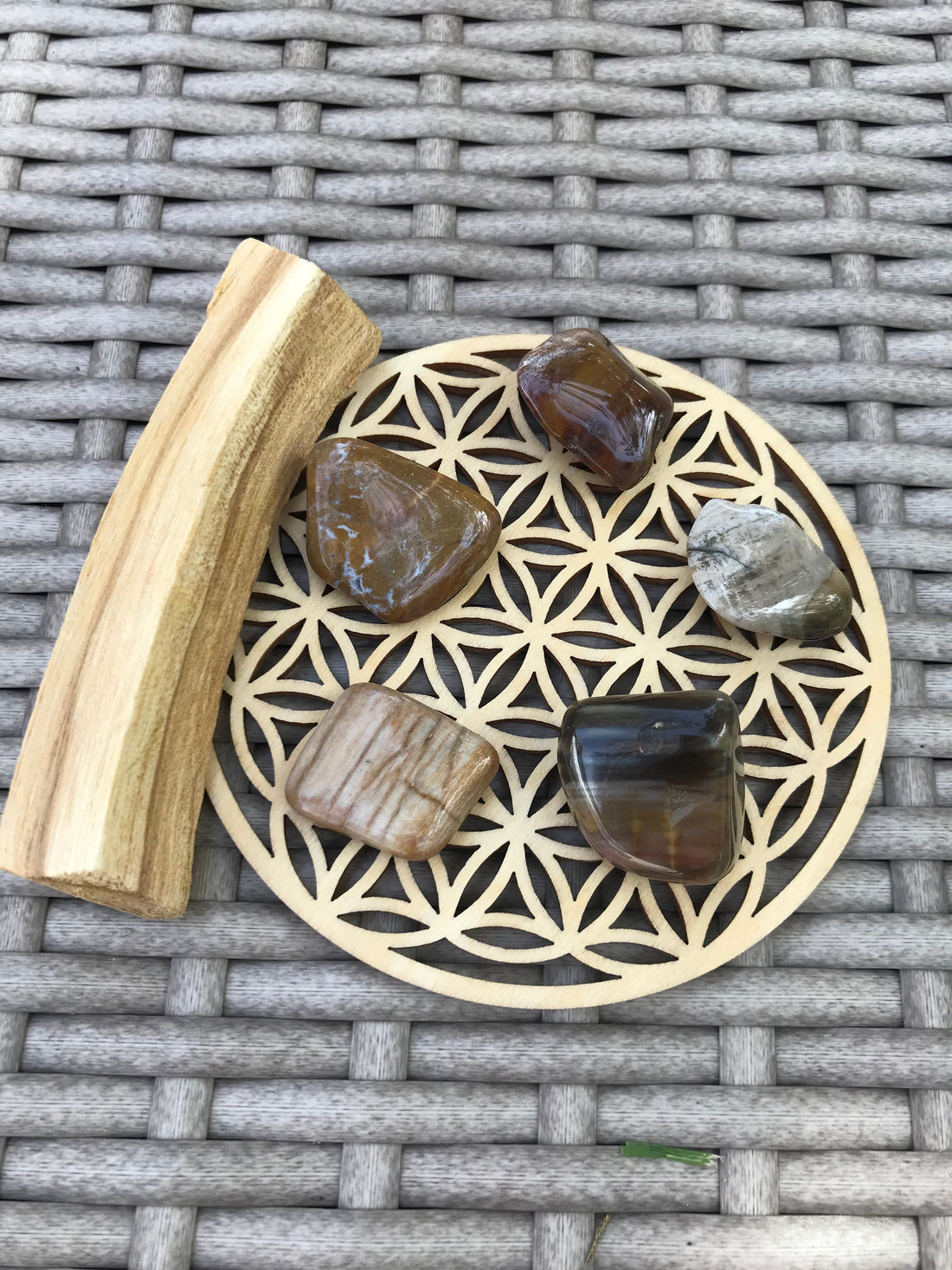 Pierre naturelle Bois Fossile pétrifié